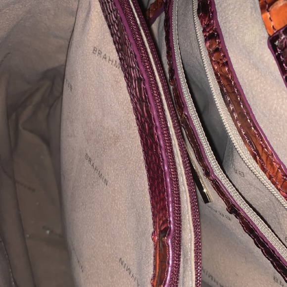 Large multi color Brahmin - Picture 4 of 7